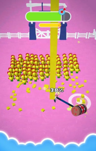 夏日收获(1)