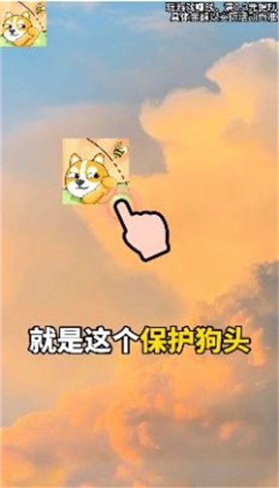 保护狗头图1