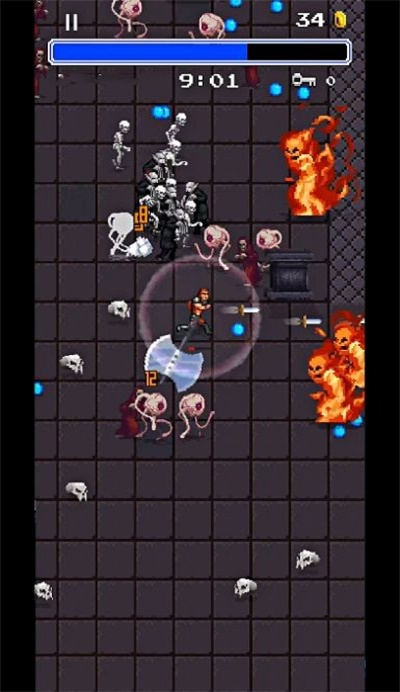 吸血鬼幸存者3图1