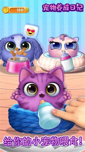 宠物养成日记图2