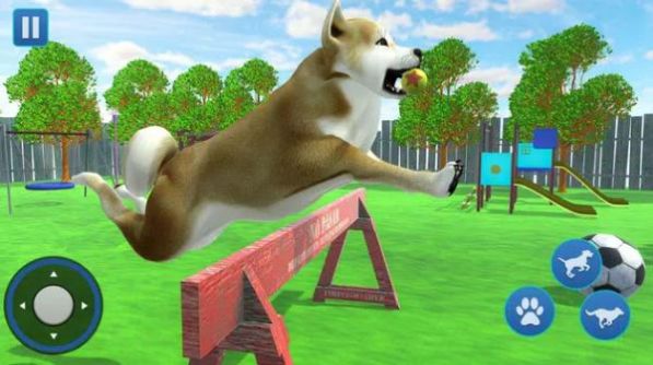 狗生活模擬器3D