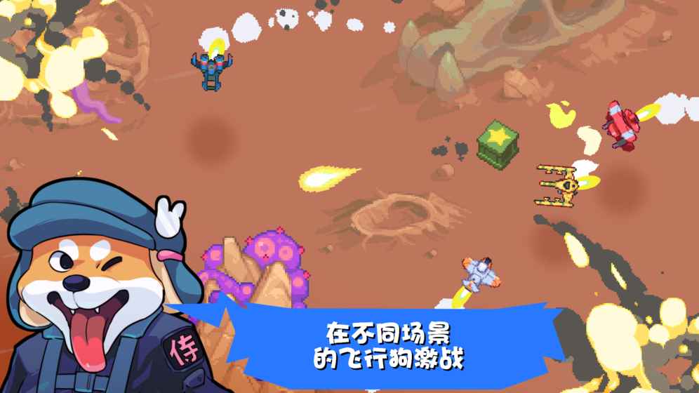 雷霆戰狗