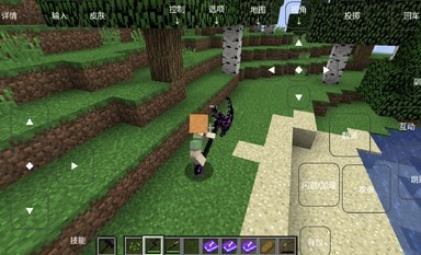 我的世界烦人的村民图1