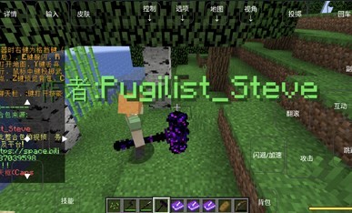 我的世界烦人的村民图3