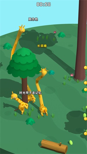 長頸鹿是這樣打架的