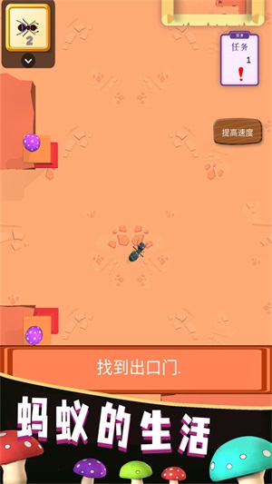 螞蟻的生活