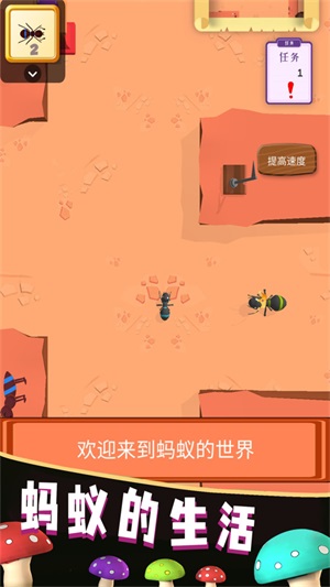 螞蟻的生活