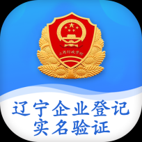 辽宁企业登记实名验证