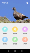 鸟叫声大全图4
