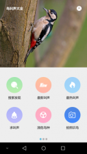 鸟叫声大全图3