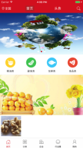 同城菜园子图5