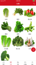 同城菜园子图3