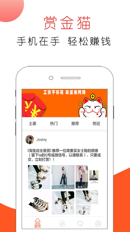 赏金猫图1