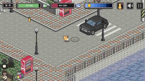 流浪猫求生之路(2)