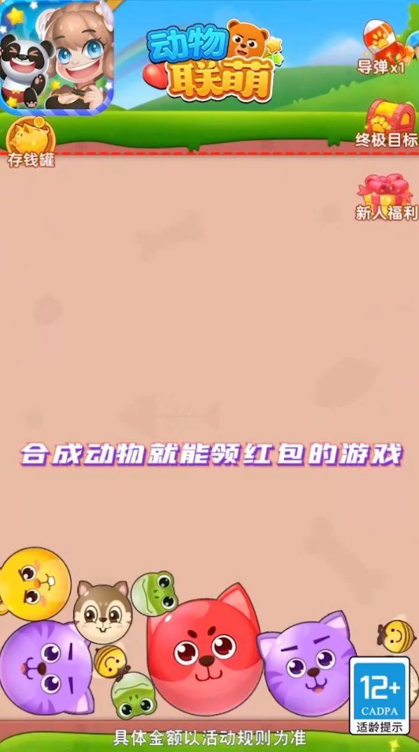 動物聯盟