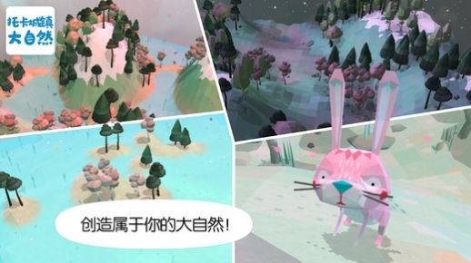 托卡城鎮(zhèn)大自然