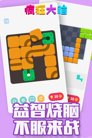 瘋狂大腦