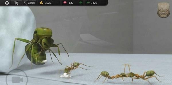 模擬螞蟻大亨