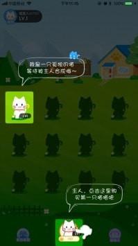 瘋狂合貓貓