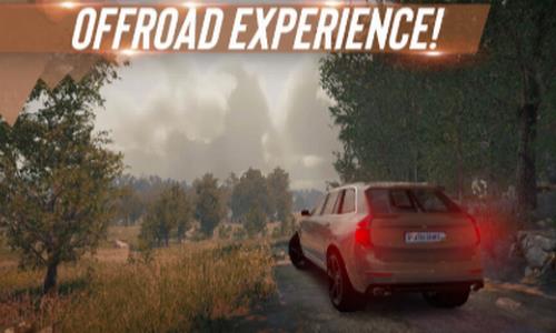 真实停车大师图1