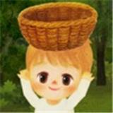 小浆果之林故事