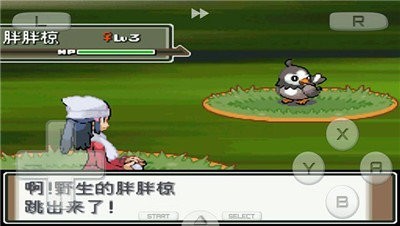 口袋妖怪珍珠图1