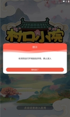 村口小院图3