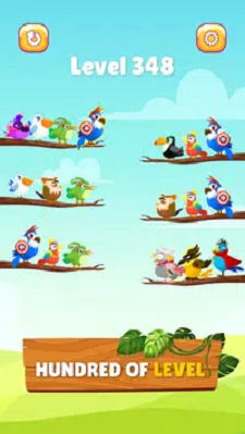 小鸟分类大师(2)