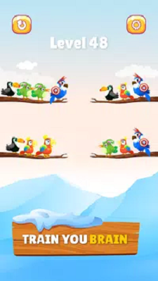 小鸟分类大师(3)