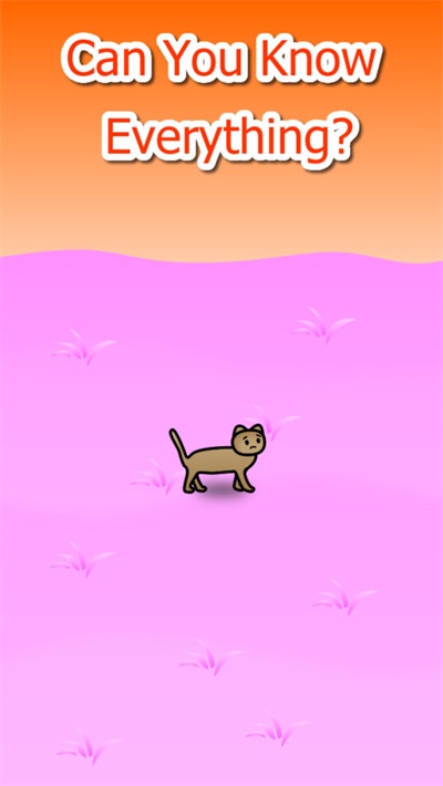 流浪的猫咪