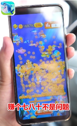 幸福鱼塘图1