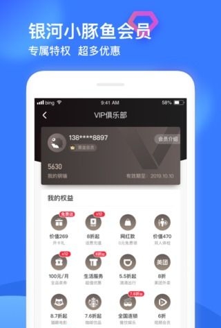 银河小豚鱼-图2