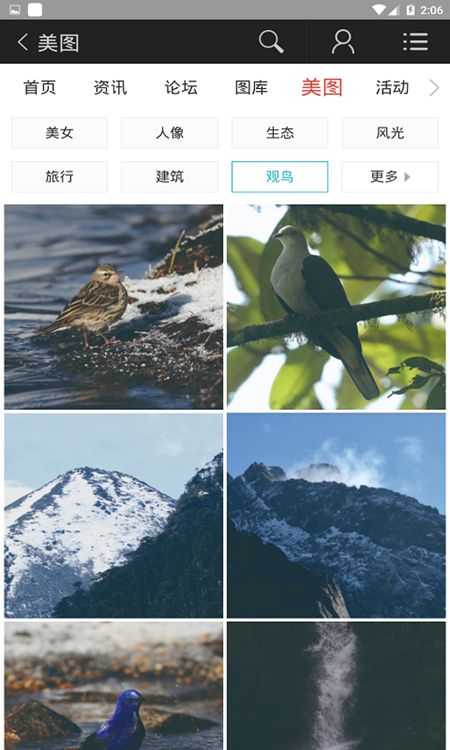 图啥-图3