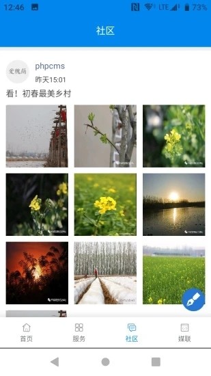 爱槐荫-图4