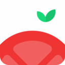 番茄空间V1.0.0