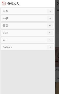 喵呜次元-图1