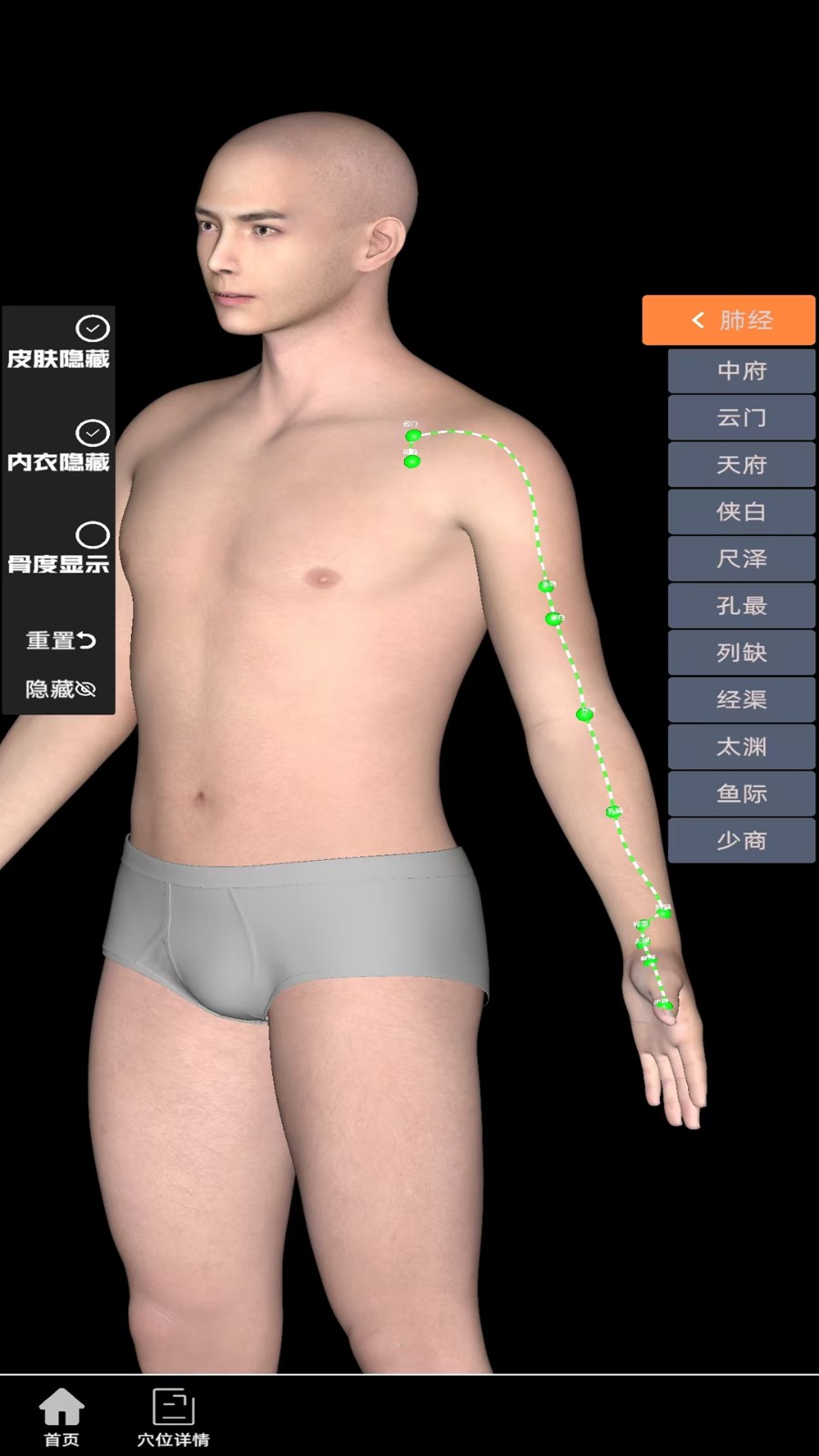 子午经络软件(子午流注)安卓版图2
