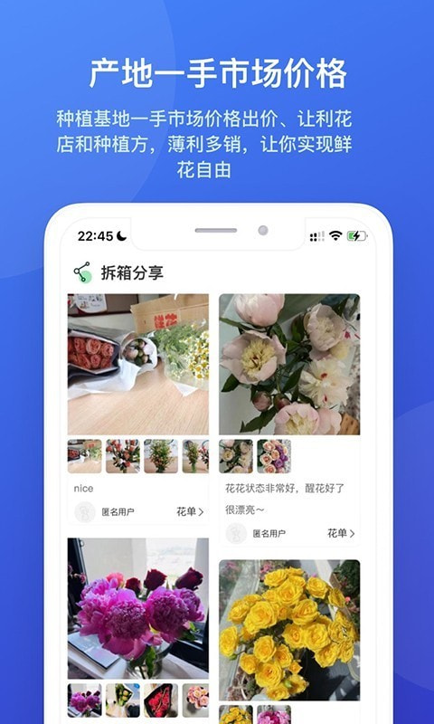 云选鲜花批发图3