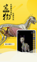 3dbody寵物