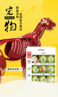 3dbody寵物