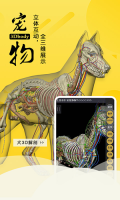 3dbody寵物