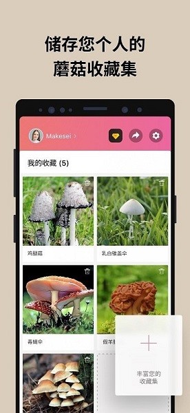 蘑菇識別掃一掃