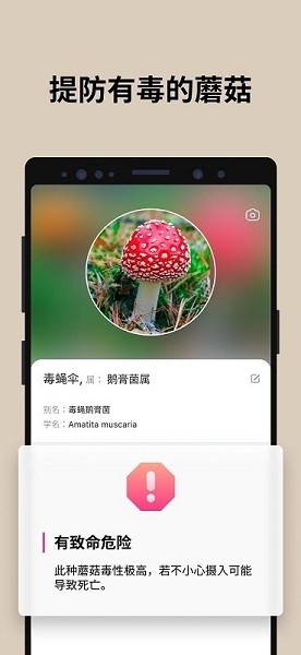 蘑菇識別掃一掃