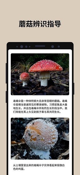 蘑菇識別掃一掃
