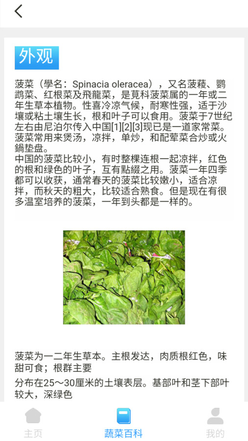 口袋菜農(nóng)