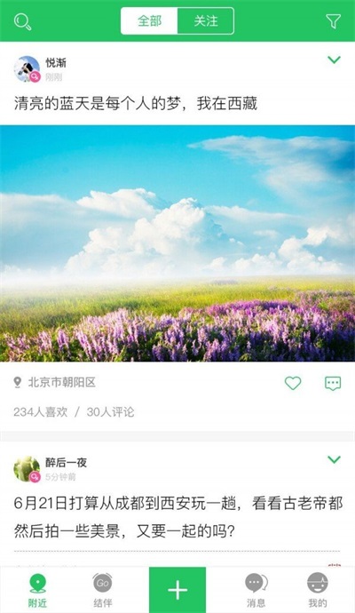 大树旅行图2