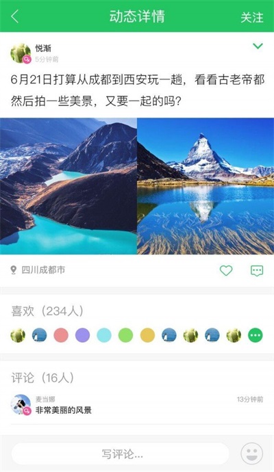 大树旅行图3