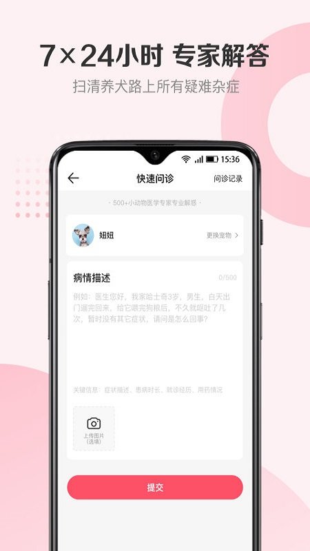 68宠物图2
