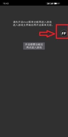 FFMOD版