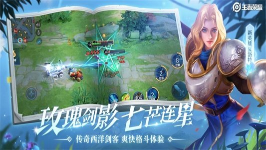 王者榮耀國標懸浮窗